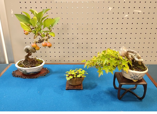 イベントイメージ2