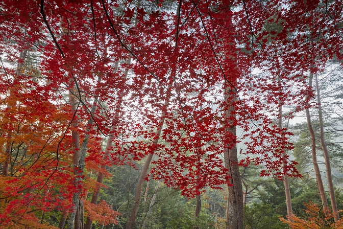 イベントイメージ3