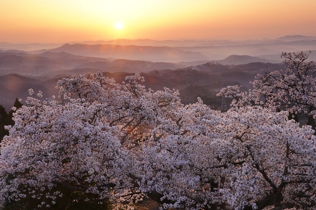 イベントイメージ1